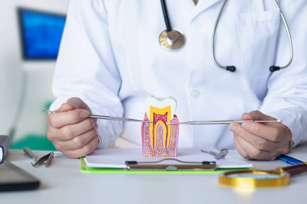 Best Knocked-Out Tooth Emergency  in Los Fresnos, TX